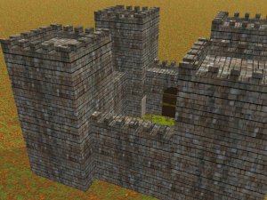 The fort