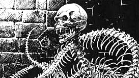 Necrophidus