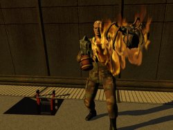 Bug Burning (click for larger image!)