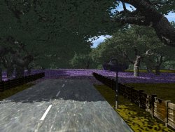Something under the trees... (click for larger image!)