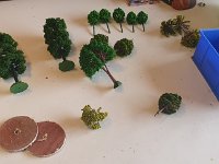 20231001 162826  This is a build of a set of based trees for wargaming and skirmishing. The 6 on the left are newly obtained from a doll's house and minituaria show, as are some of the basing materials